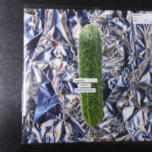 Cucumb45, Slyso EP4, Something Weirdcore, 2017, bbb004.
