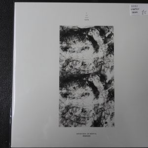 YYYY, Intention of Mortal Remixed, 2016, WCR015.