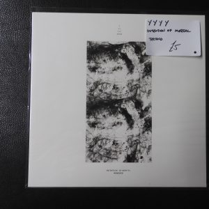 YYYY - Intention of Mortal Remixes - 2016 - WCR015.